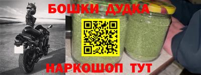 спиды Гай