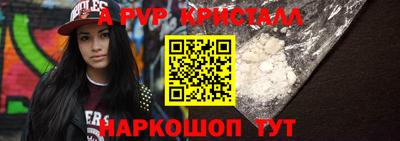 спиды Гай