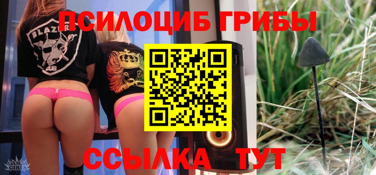 Ногинск  Псилоцибиновые грибы Psilocybe  Вход с VPN 