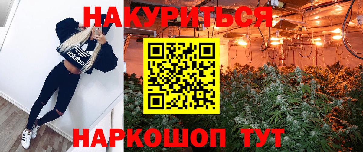 Бошки марихуана планчик  Бошки марихуана OG Kush  Ногинск  Шишки марихуана индика  Вход с VPN 